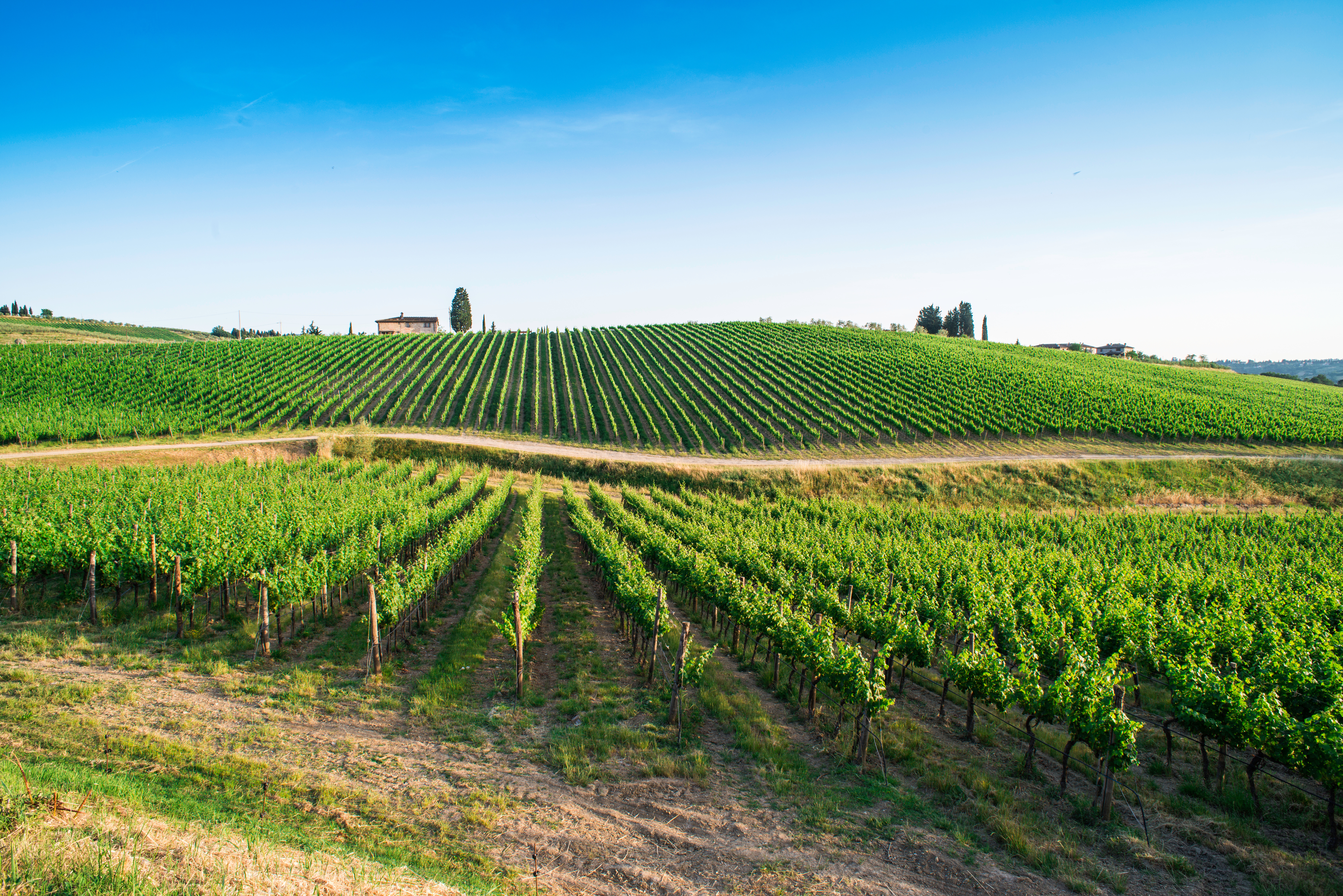 Barolo